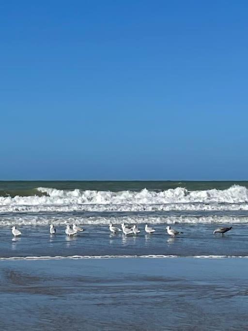 Charmante Maison Individuelle Proche Du Touquet Holiday home